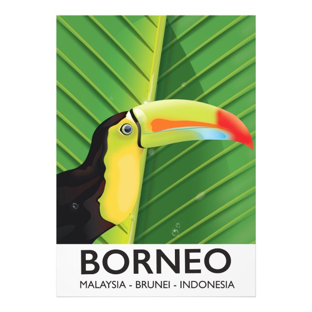 Borneo Toucan Reiseplakat Fotodruck (Vorne)