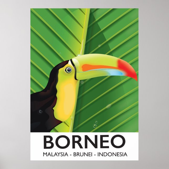 Borneo Toucan Reiseplakat Poster (Vorne)