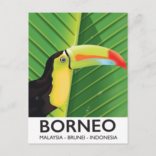 Borneo Toucan Reiseplakat Postkarte (Vorderseite)