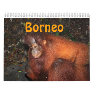 Borneoreise und -orang-Utans Kalender