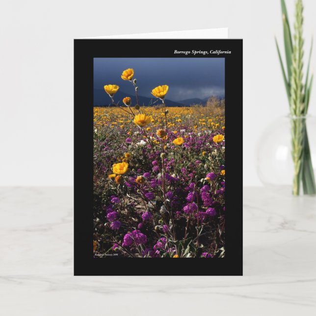 Borrego Springs, Kalifornien Karte (Vorderseite)