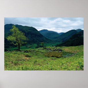 Borrowdale von hohem Doat, Cumbria am kornischen Poster