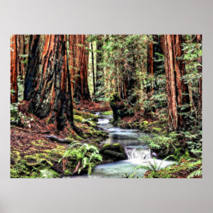 Borste Lum Fokus der Tiefen-92 Poster