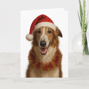 Borzoi (braun und weiß) Weihnachtskarte mit Santa  Karte