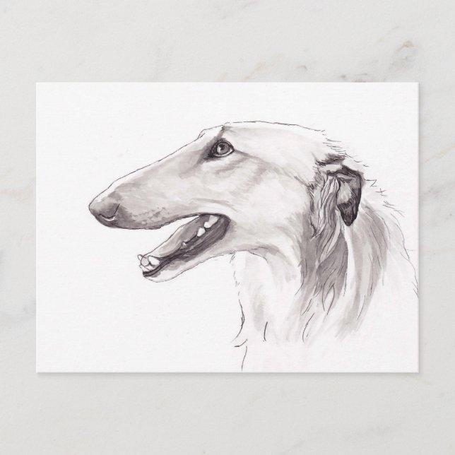 Borzoi Dog Art Ink Kopf Profil Postkarte (Vorderseite)