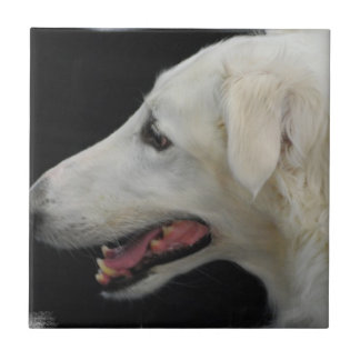 Borzoi-Fliese Fliese