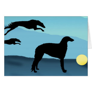 Borzoi-Hunde, die Ball jagen