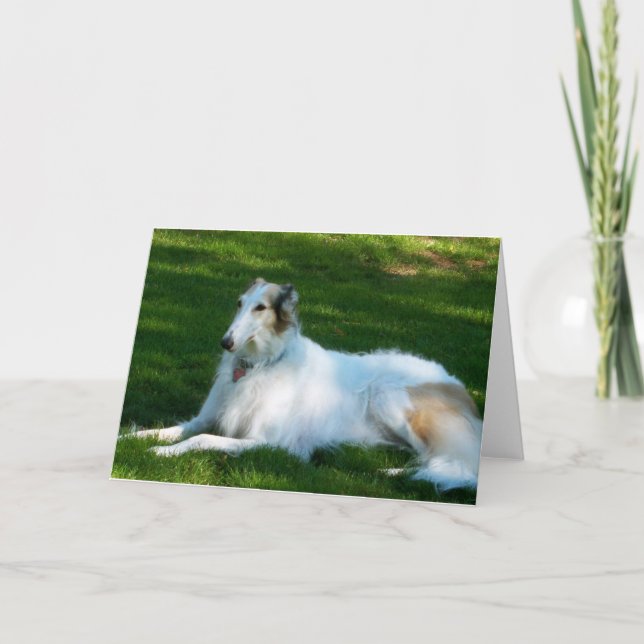 "Borzoi-" HundeFoto-Gruß-Karte Karte (Vorderseite)