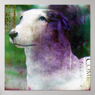 Borzoi Poster
