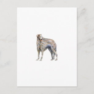 Borzoi Postkarte