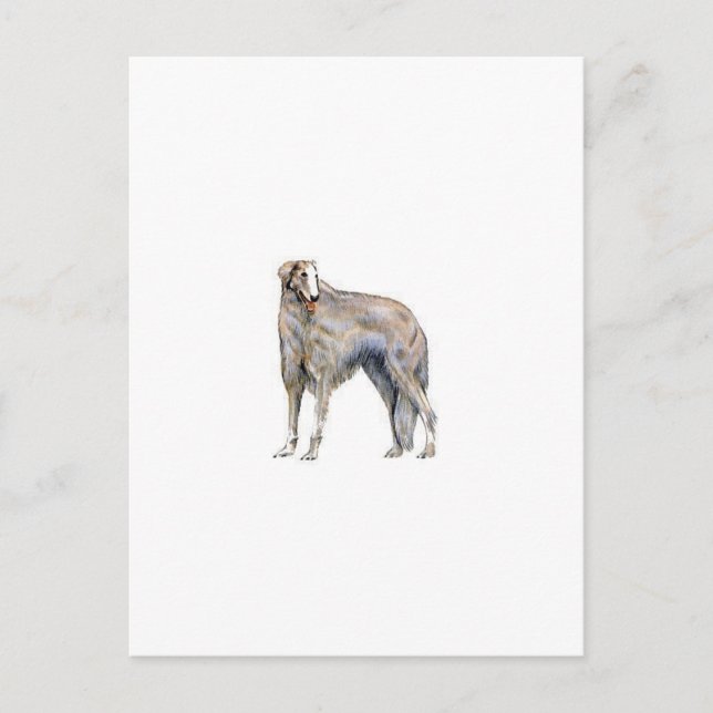 Borzoi Postkarte (Vorderseite)