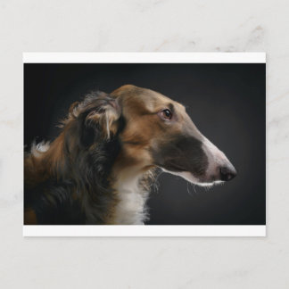 Borzoi Postkarte