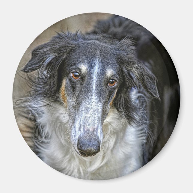 Borzoi Rescue Dog Magnet (Vorne)