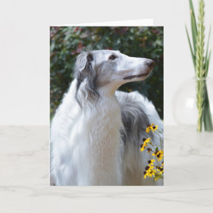 Borzoi Russian Wolfhound Dog Art Foto Card Karte