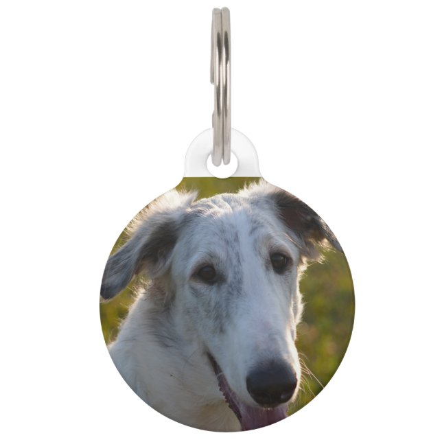Borzoi Russischer Wolfhound Hund. Haustiermarke (Vorderseite)
