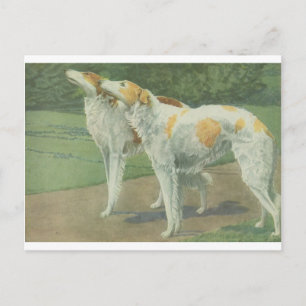 Borzoi (Russischer Wolfhound) Postkarte