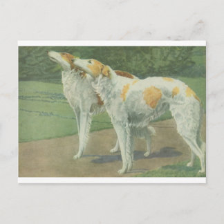 Borzoi (Russischer Wolfhound) Postkarte