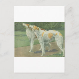 Borzoi (Russischer Wolfhound) Postkarte