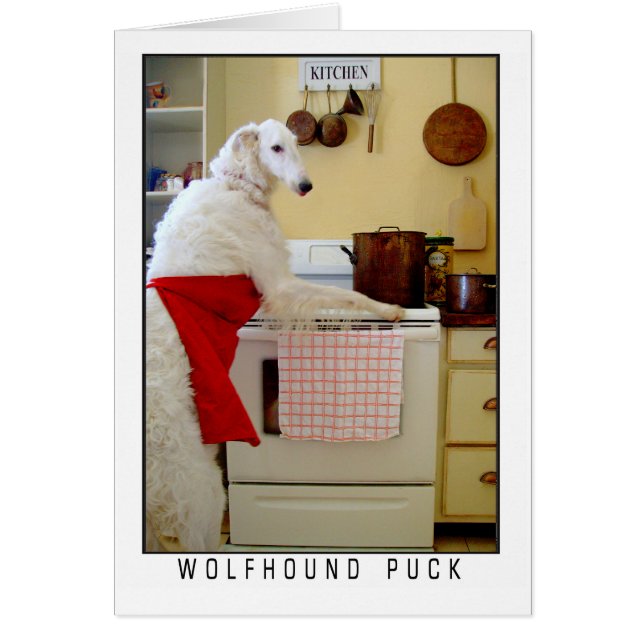 Borzoi Russischer Wolfshund "Wolfhound Puck" Hund (Vorne)
