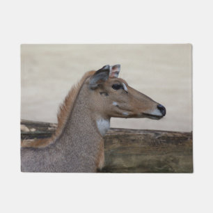 Boselaphus tragocamelus fußmatte
