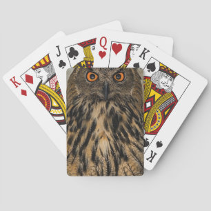Böser aussehende Eule Spielkarten