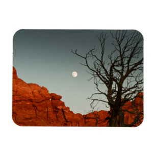 Böser Mond Magnet