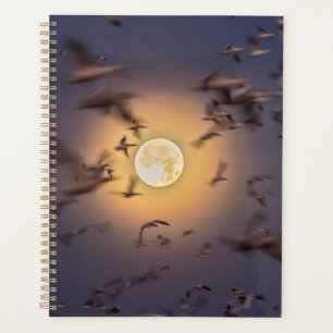 Bosque del Apache National Wildlife Refuge Planer