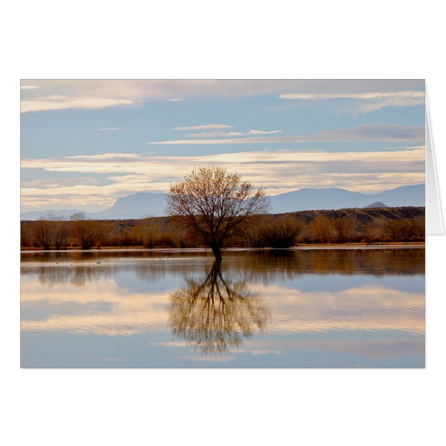 Bosque del Apache, New Mexico (Vorderseite (Horizontal))
