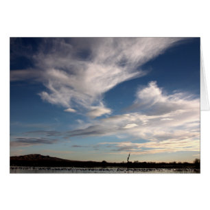 Bosque Del Apache, New Mexiko