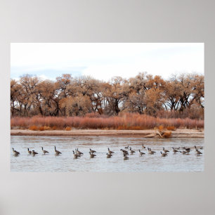 "BOSQUE PARADE" POSTER