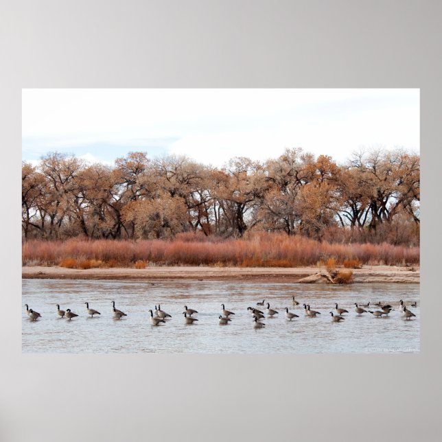 "BOSQUE PARADE" POSTER (Vorne)