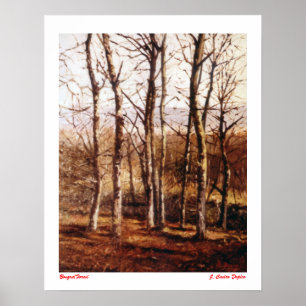 Bosque/Wald Poster