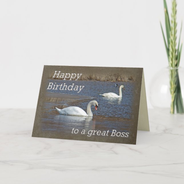 Boss Birthday - Mute Swans auf Winterteich Karte (Vorderseite)