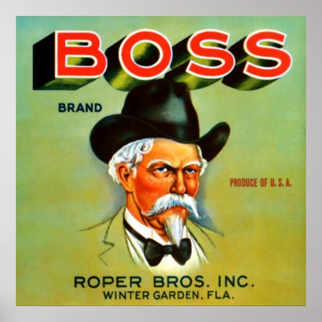Boss Brand Poster (Vorne)
