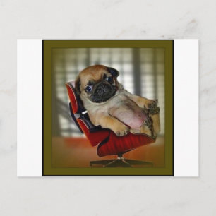 Boss Mops! Postkarte