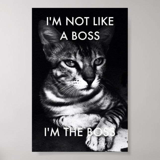 Boss Poster (Vorne)