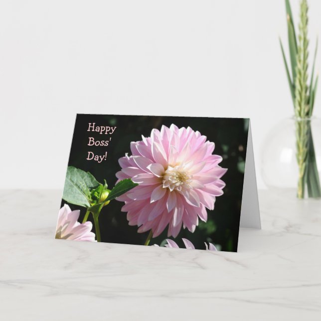 Bosses Cards Pink Dahlia Blume Happy Boss Day! Karte (Vorderseite)