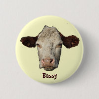 Bossy the Cow