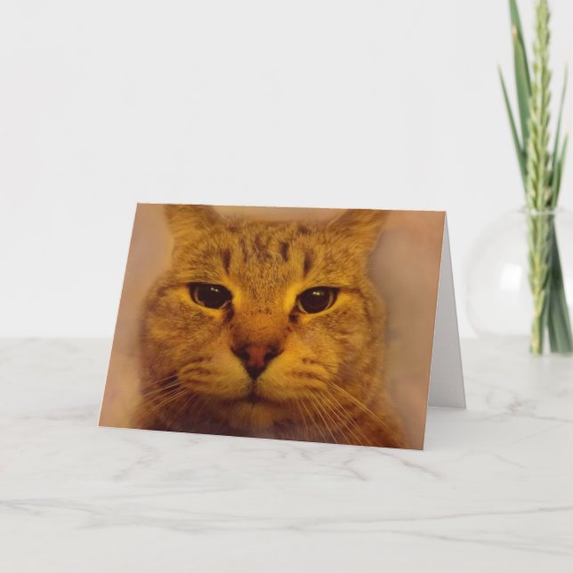 Bossy ungeduldige Katze wird gut Karte (Vorderseite)