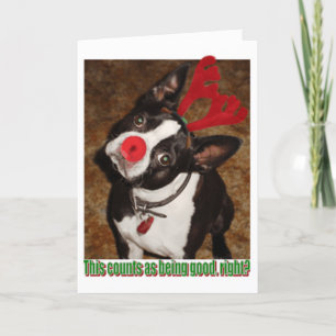 Boston1 Feiertagskarte