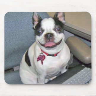 Boston am Computer Mousepad