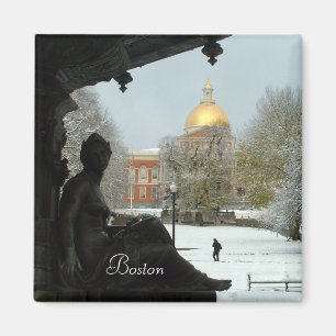 Boston Common Magnet