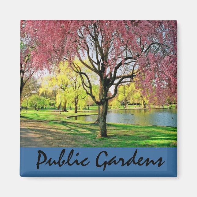 Boston Common Magnet (Vorne)