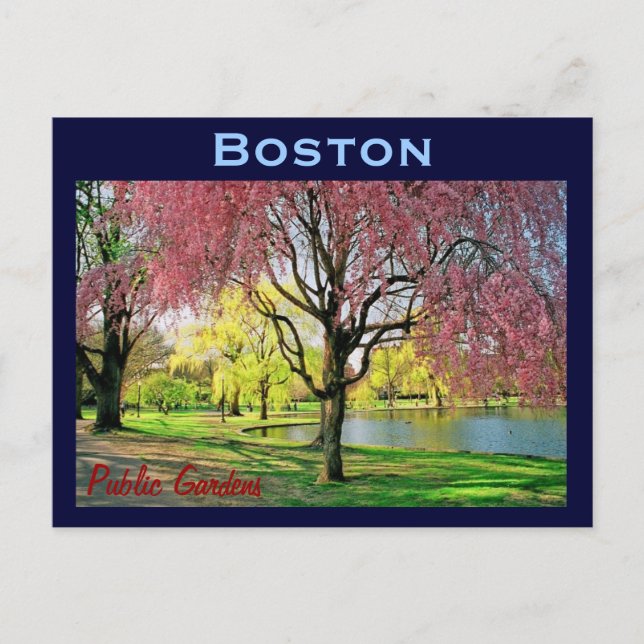 Boston Common Postcard - Maßgeschneiderte Postkarte (Vorderseite)