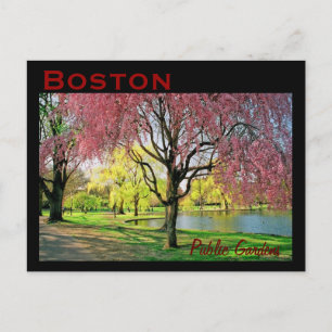 Boston Common Postcard - Maßgeschneiderte Postkarte