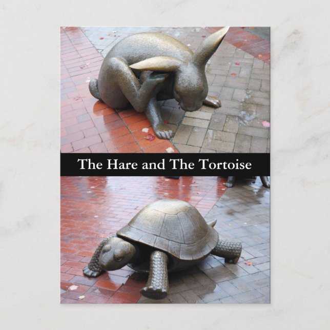 Boston - Der Hase und die Tortoise Postkarte (Vorderseite)