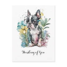 "Boston"-Gesicht Boston Welpenbrille Blumenmuster