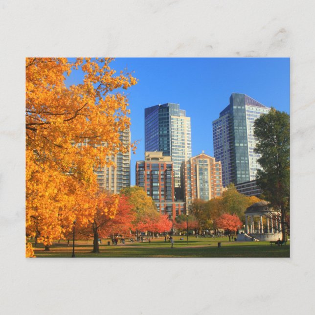 Boston häufig im Herbst Postkarte (Vorderseite)