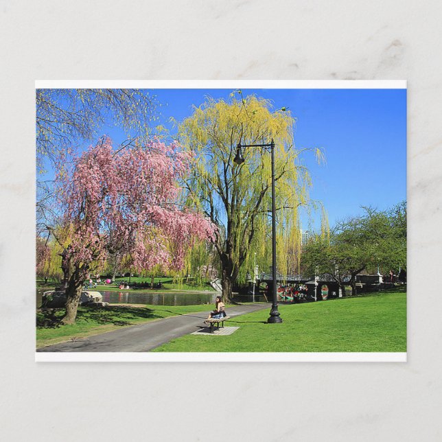 Boston, Massachusetts - Boston Gardens Post Card Postkarte (Vorderseite)