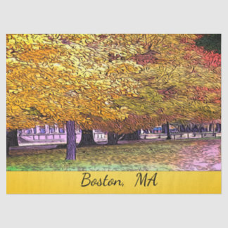 Boston, Massachusetts Fall Foliage Seidenpapier